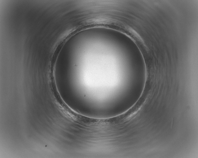 X0000076240930200609281136