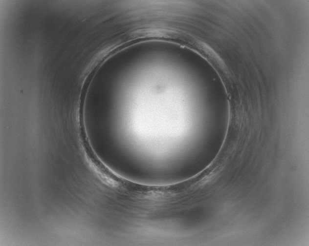 X0000076240938200609281136