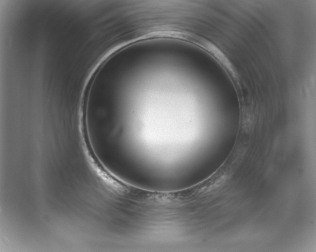 X0000076240955200609281136