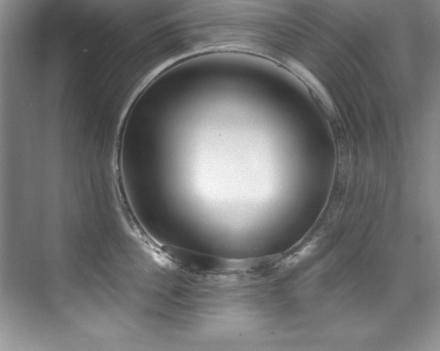 X0000076240956200609281137