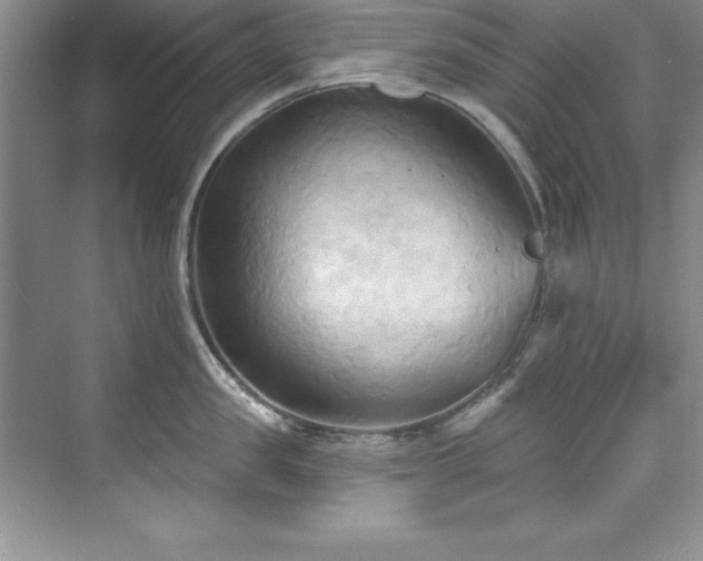 X0000076240957200609281137