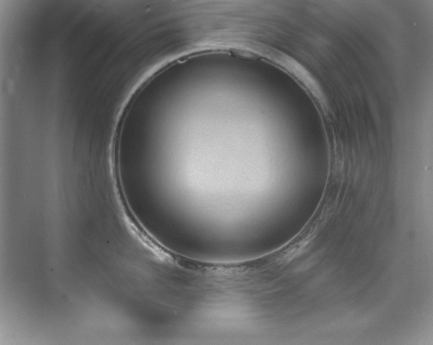 X0000076240958200609281137