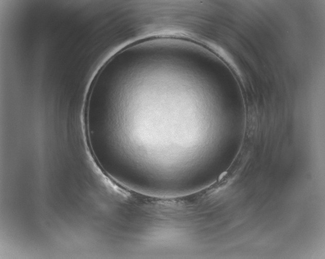 X0000076240959200609281137