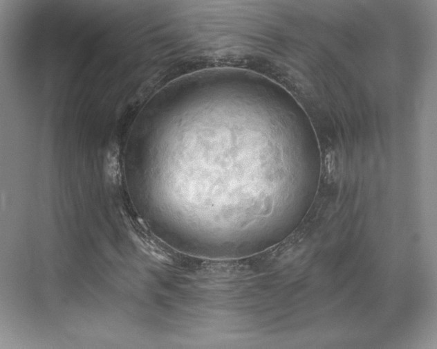 X0000076240963200609281136