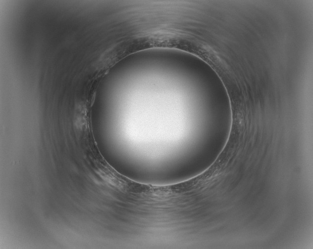 X0000076240964200609281136