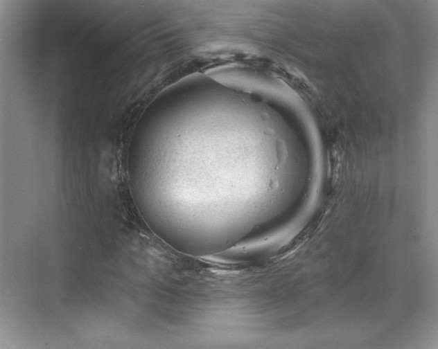 X0000076240965200609281136