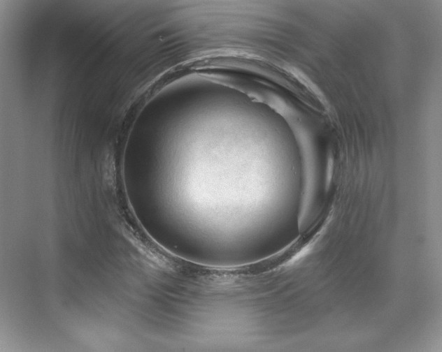 X0000076240969200609281136