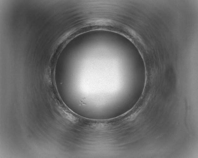 X0000076240970200609281136