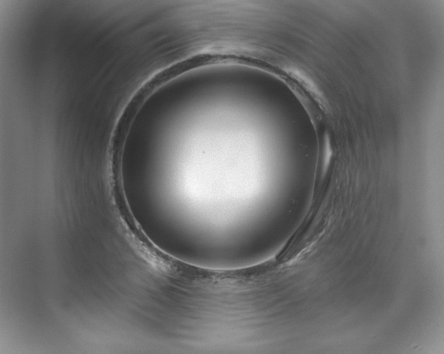 X0000076240976200609281136