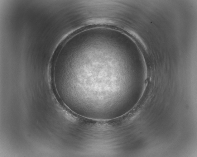 X0000076240983200609281135