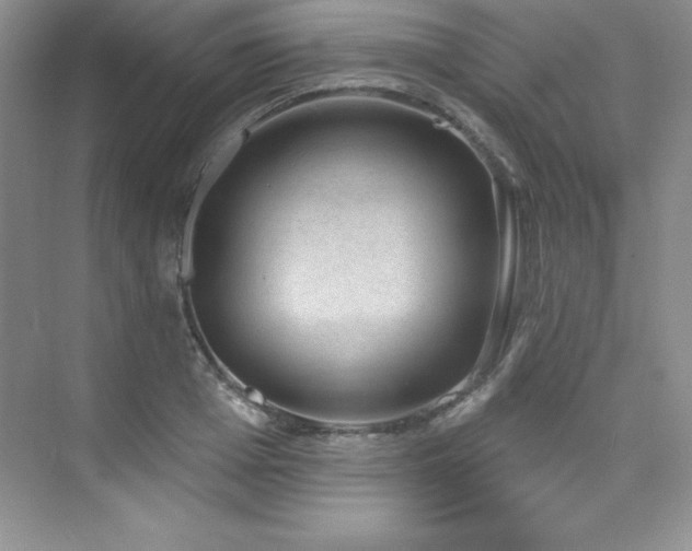 X0000076240985200609281135