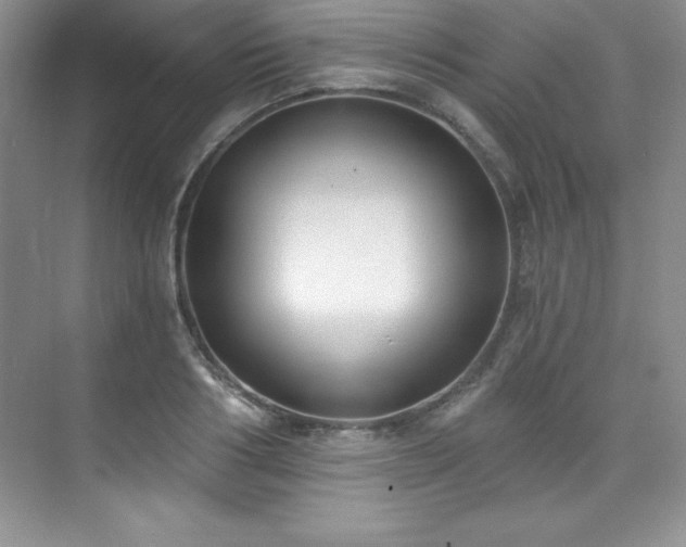 X0000076240986200609281135