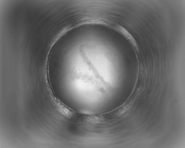 X0000076241002200609281135