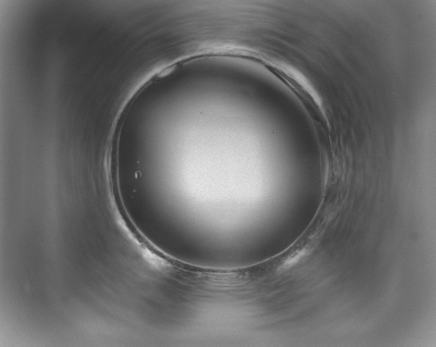 X0000076241007200609281135