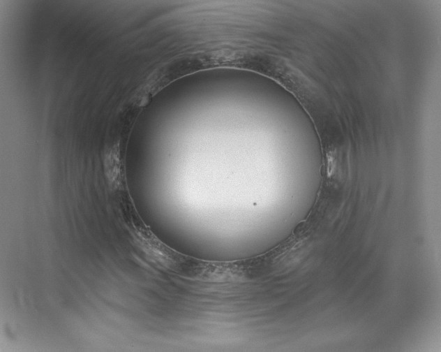X0000076241011200609281134