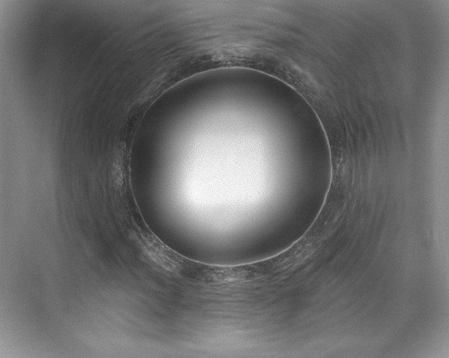 X0000076241012200609281134