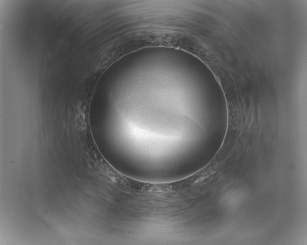 X0000076241013200609281134