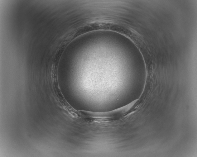 X0000076241014200609281134
