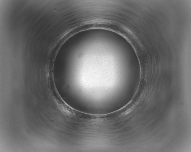 X0000076241017200609281134