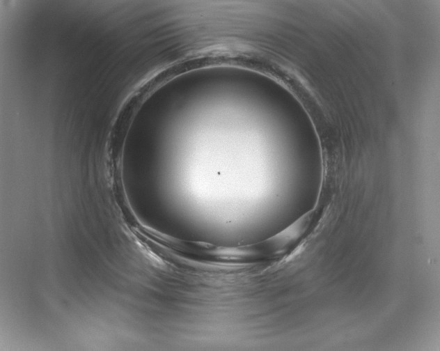 X0000076241018200609281134