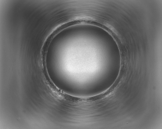 X0000076241022200609281134