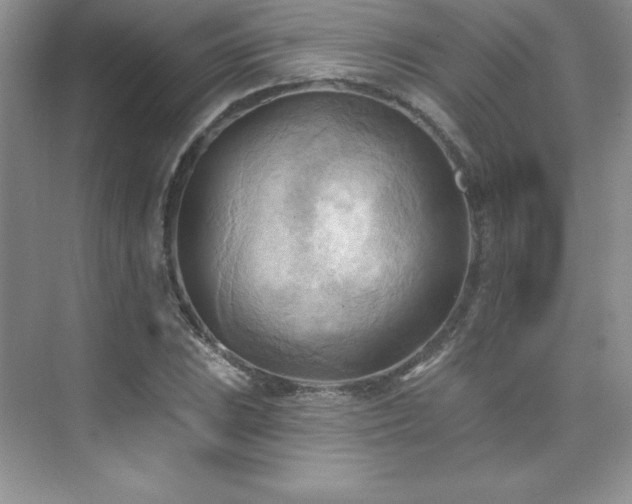 X0000076241023200609281134