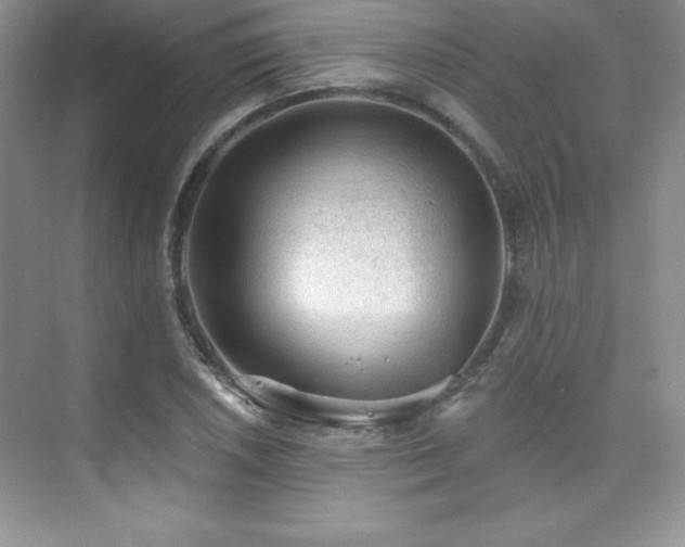 X0000076241026200609281134
