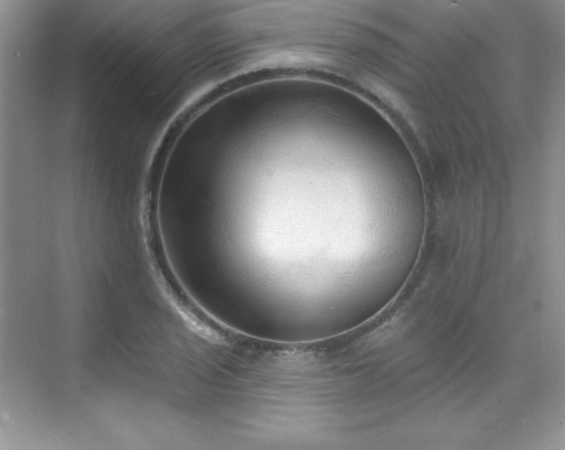X0000076241029200609281134