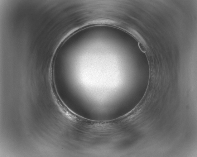 X0000076241044200609281135