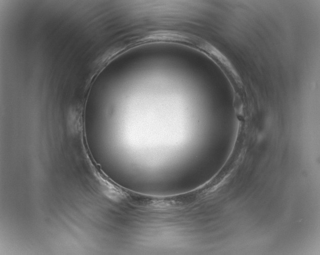 X0000076241049200609281135