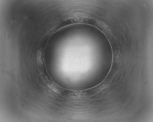 X0000076241060200609281134