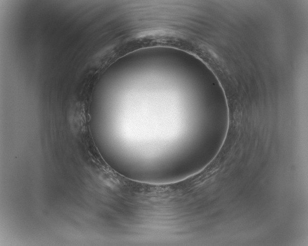 X0000076241062200609281134