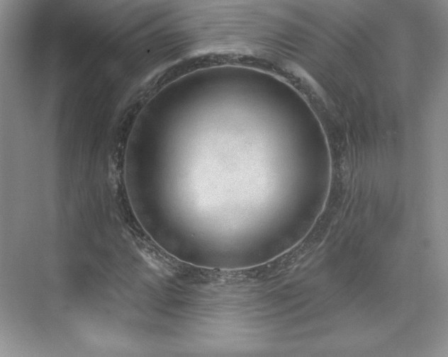 X0000076241064200609281134