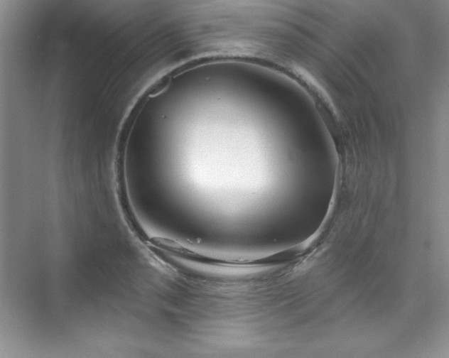 X0000076241085200609281134