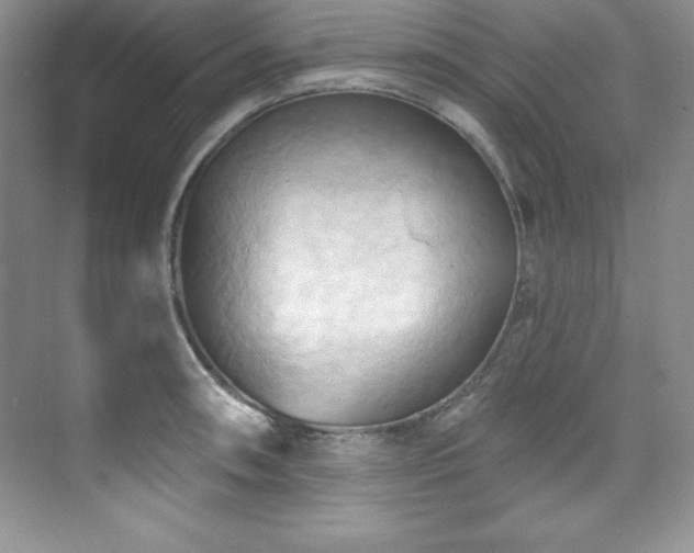 X0000076241090200609281134