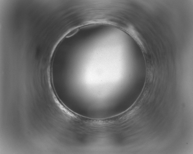 X0000076241100200609281133