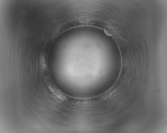 X0000076241106200609281133