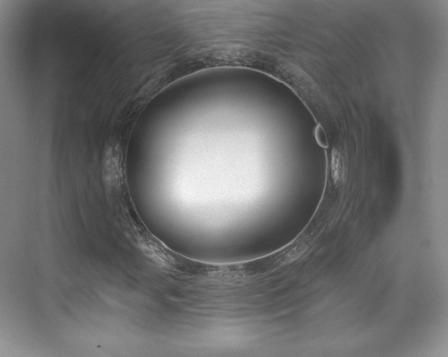 X0000076241107200609281133