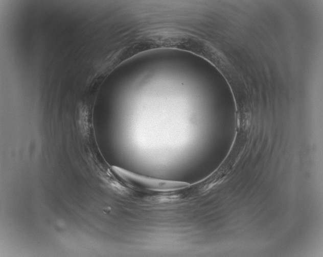 X0000076241108200609281133