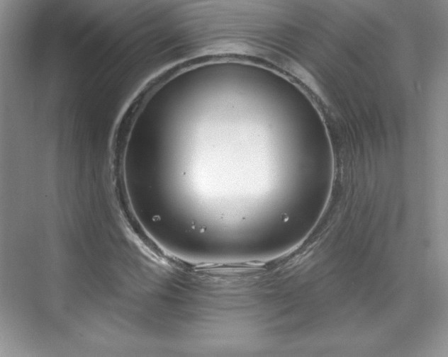 X0000076241116200609281133