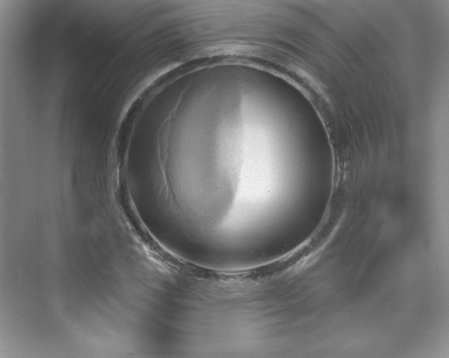 X0000076241117200609281133