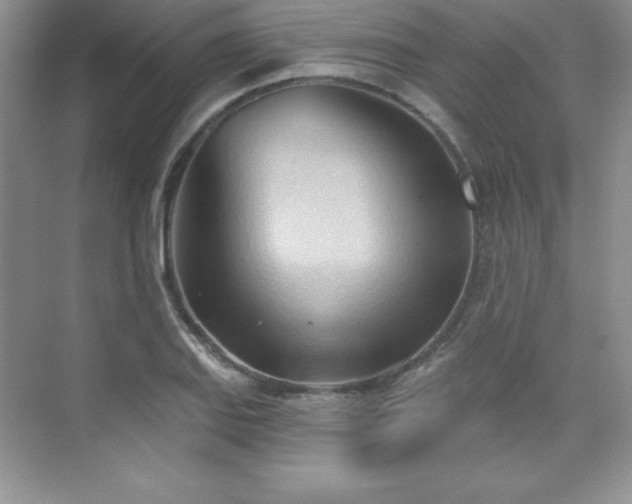 X0000076241127200609281133