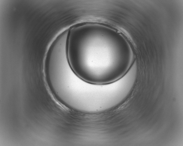 X0000076241128200609281133