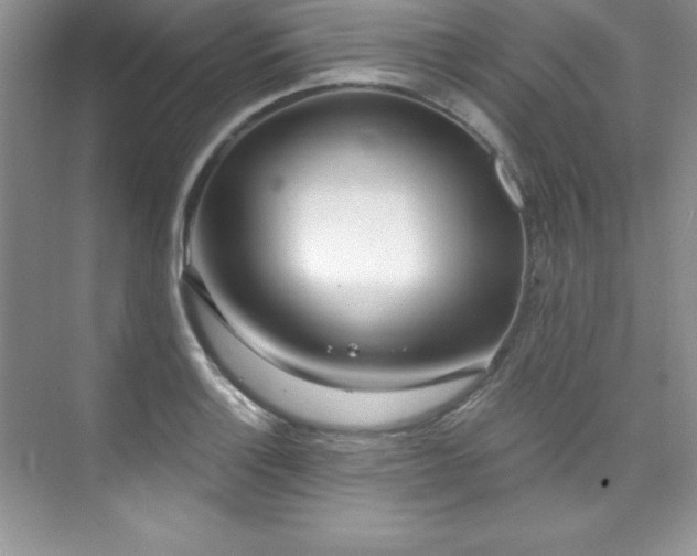 X0000076241132200609281133