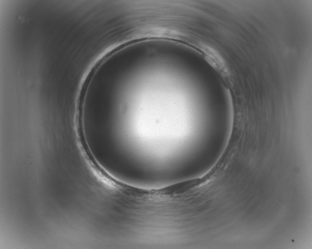 X0000076241136200609281133