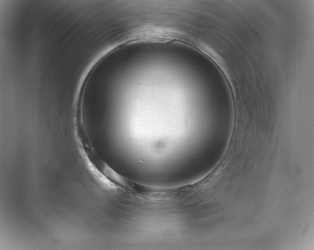 X0000076241152200609281133