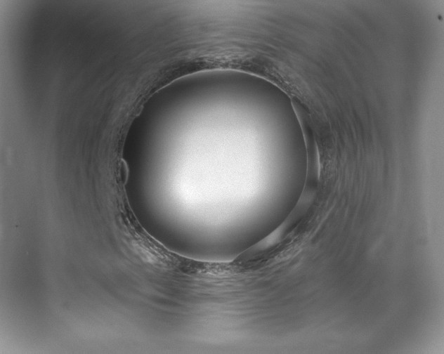 X0000076241153200609281133