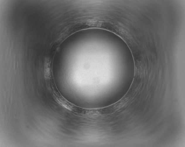 X0000076241154200609281133