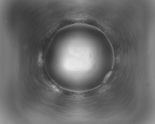 X0000076241156200609281132