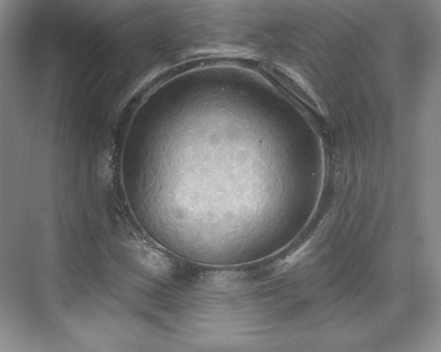 X0000076241163200609281132